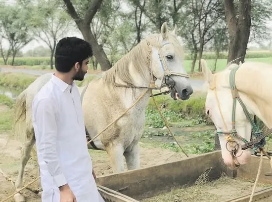 Photo of Ahsen Khan